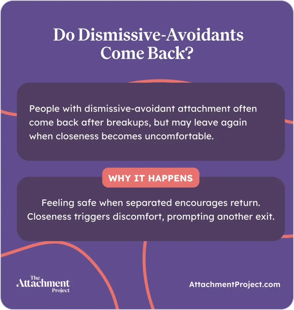 Do Dismissive-Avoidants Come Back