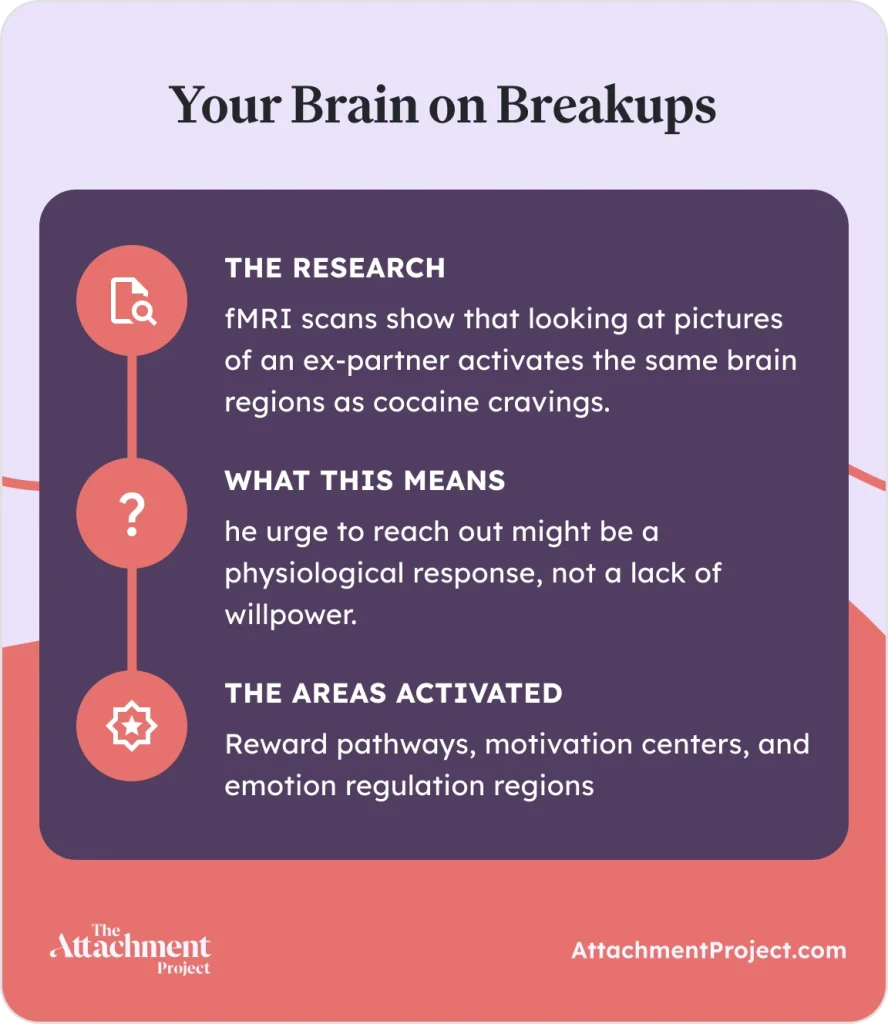 Brain and breakups